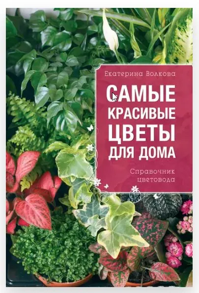 Обложка курса «Самые красивые цветы для дома. Справочник цветовода (Екатерина Волкова)»