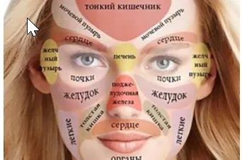 Обложка курса «Диагностика по внешним признакам. Вебинар №1 (Елена Макарова)»
