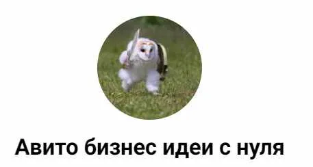 Обложка курса «[Авито бизнес идеи с нуля] Обучение по авито и профессии авитолог»