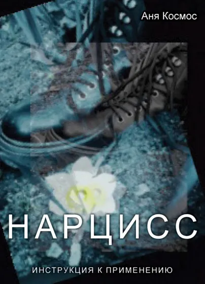 Обложка курса «Нарцисс. Инструкция к применению (Аня Космос)»