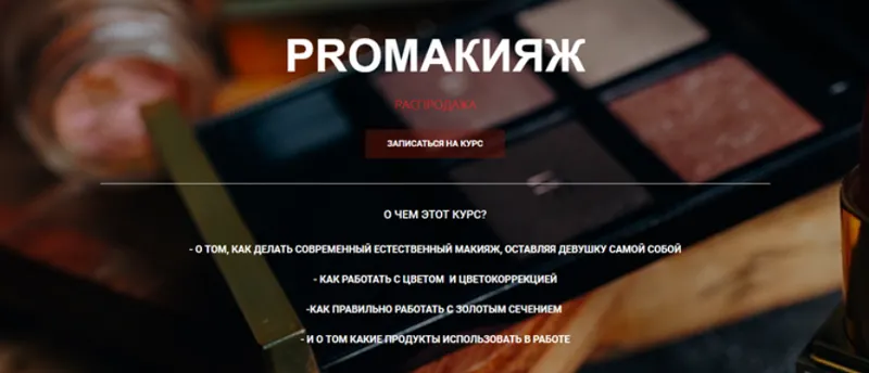 Обложка курса «PROмакияж (Таня Борисова)»