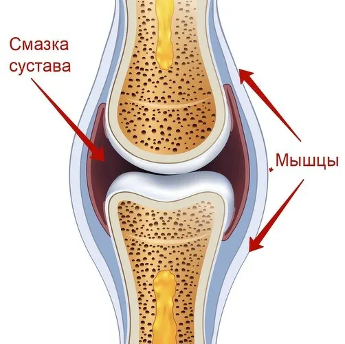 Обложка курса «Легко ходим, быстро встаем (Александра Бонина)»