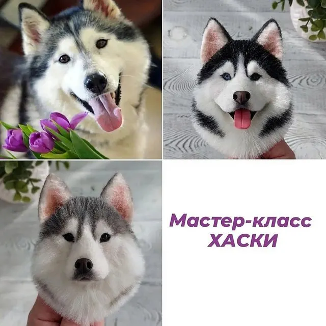 Обложка курса «Брошь Хаски (Марина Грубер)»