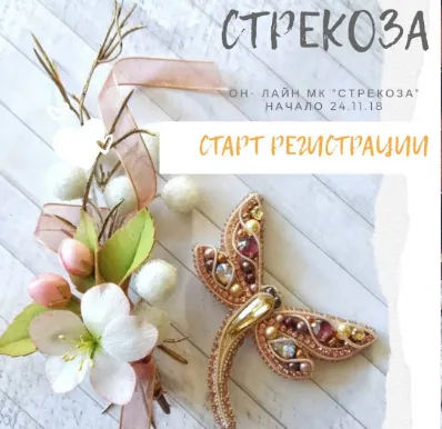 Обложка курса «Брошь «Стрекоза» (Александра Рупека)»