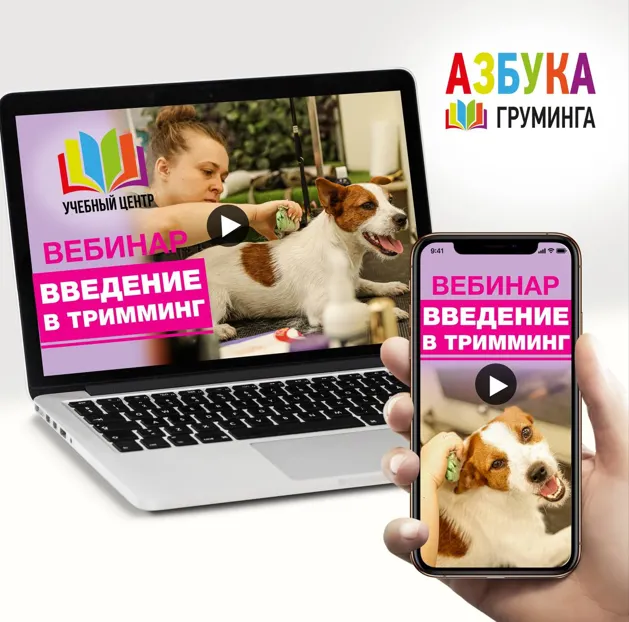 Обложка курса «[Азбука Груминга] Тримминг для начинающих (Ксения Селезнёва)»