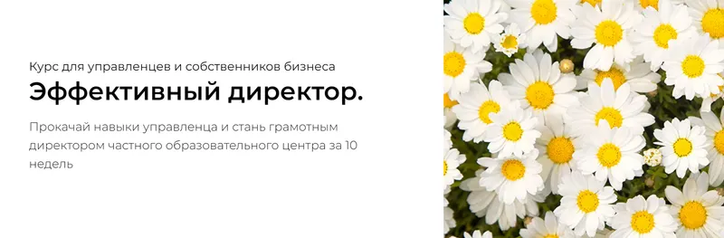Обложка курса «Эффективный директор. Тариф Профи (Наталья Батиг)»