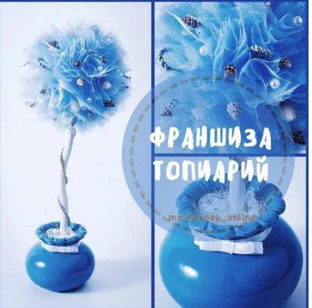 Обложка курса «Франшиза Топиарии»