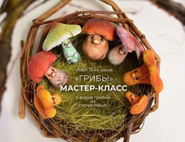 Обложка курса «Грибы (Марина Малько)»
