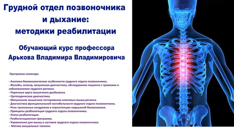 Обложка курса «Грудной отдел позвоночника и дыхание (Владимир Арьков)»