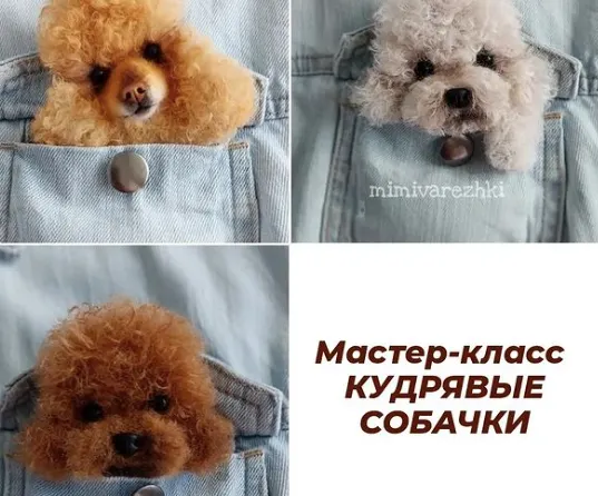 Обложка курса «Кудрявые собачки (Марина Грубер)»