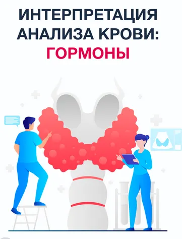 Обложка курса «[Synapse]  Методичка по интерпретации анализа крови: гормоны»