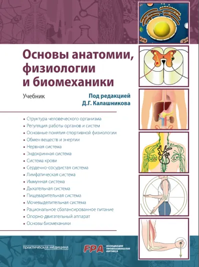 Обложка курса «Основы анатомии, физиологии и биомеханики (Дмитрий Калашников)»