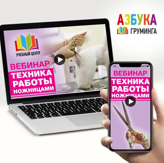 Обложка курса «[Азбука Груминга] Техника работы ножницами (Дарья Казимова)»