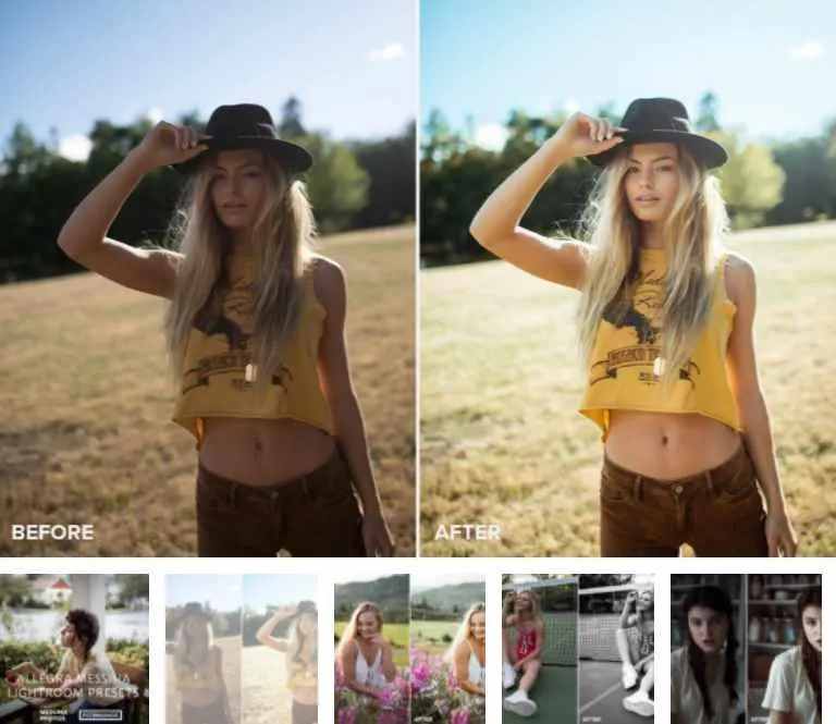 Обложка курса «Пресеты для Lightroom  (Allegra Messina)»