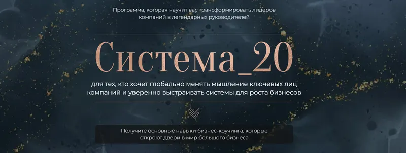 Обложка курса «Система_20 (Михаил Саидов, Елена Долинская)»