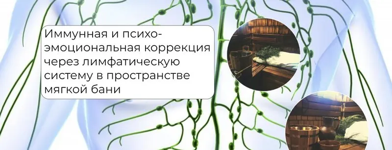 Обложка курса «Иммунная и психо-эмоциональная коррекция через лимфатическую систему (Никита Истомин)»